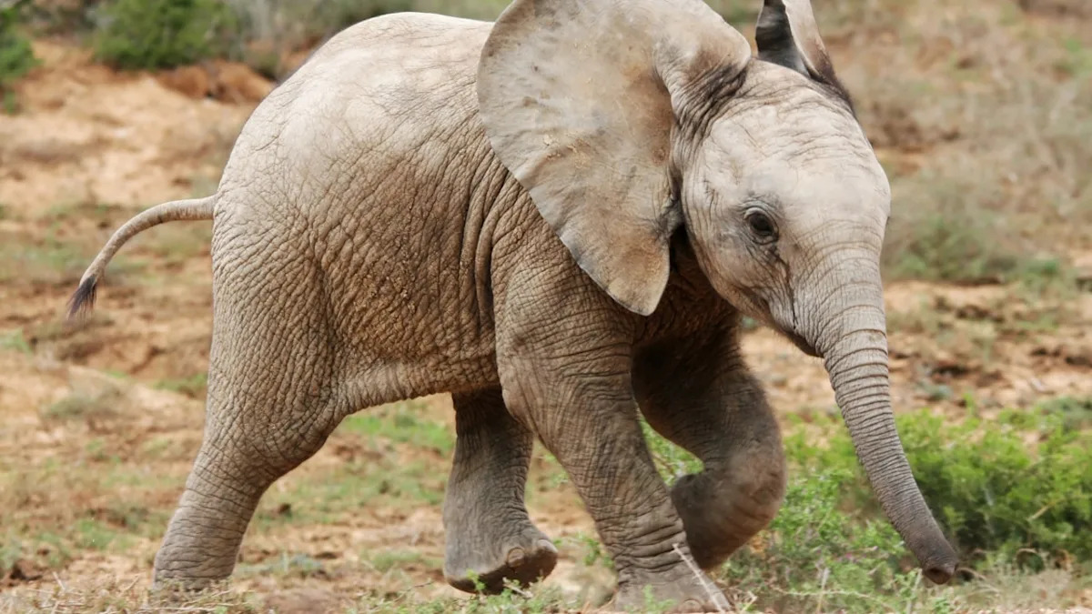 Yahoo lifestyle home