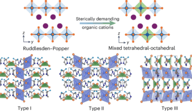 Two-dimensional mixed tetrahedral–octahedral hybrid perovskites with coexisting ferroelectricity and intralayer antiferromagnetism