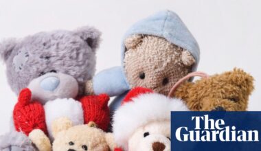 After a teddy bear talked about kink, AI watchdogs are warning parents against smart toys | Artificial intelligence (AI)