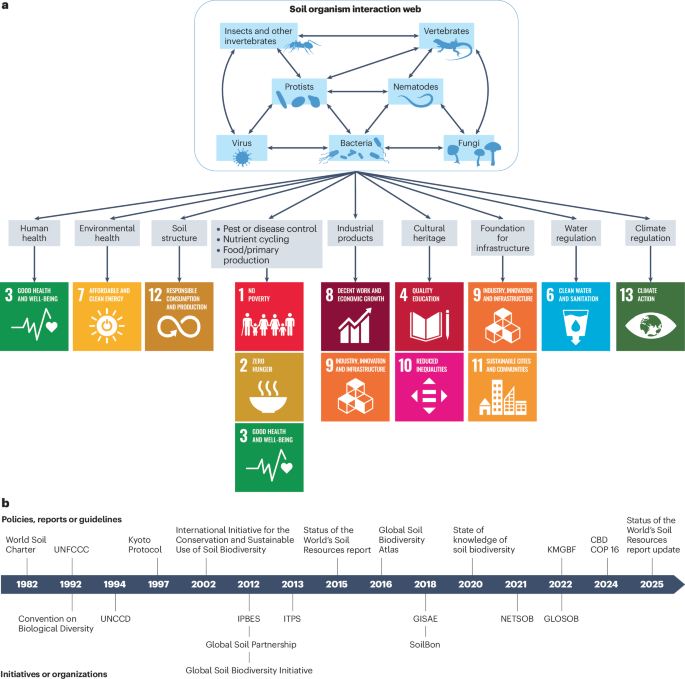 Building on monitoring and conservation policies for global soil biodiversity
