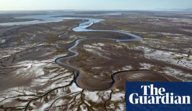 Western US states fail to agree on plan to manage Colorado River before federal deadline | Water