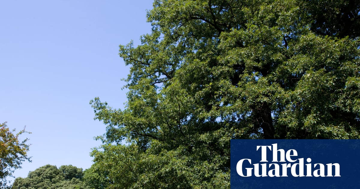 We need to restore Britain’s connection to nature | Biodiversity