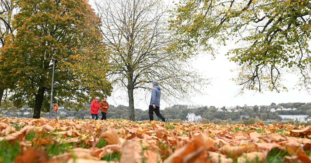 Could a walk at lunchtime transform your health?