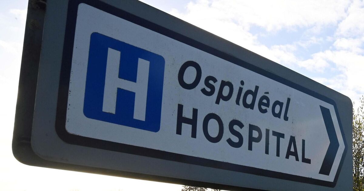 Three in four patients with broken hip had surgery within 48 hours of attending hospital, report finds