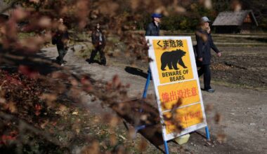 Japan town retracts bear sighting warning sparked by AI image