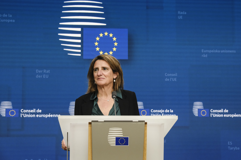 Ribera slams Council's push to delay and rework deforestation rules