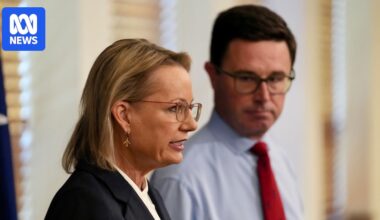 Coalition plans to strip climate from energy operator's objectives