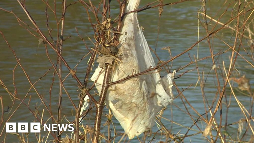 Wessex Water agrees £11m package to cut sewage spills