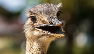 Yahoo lifestyle home