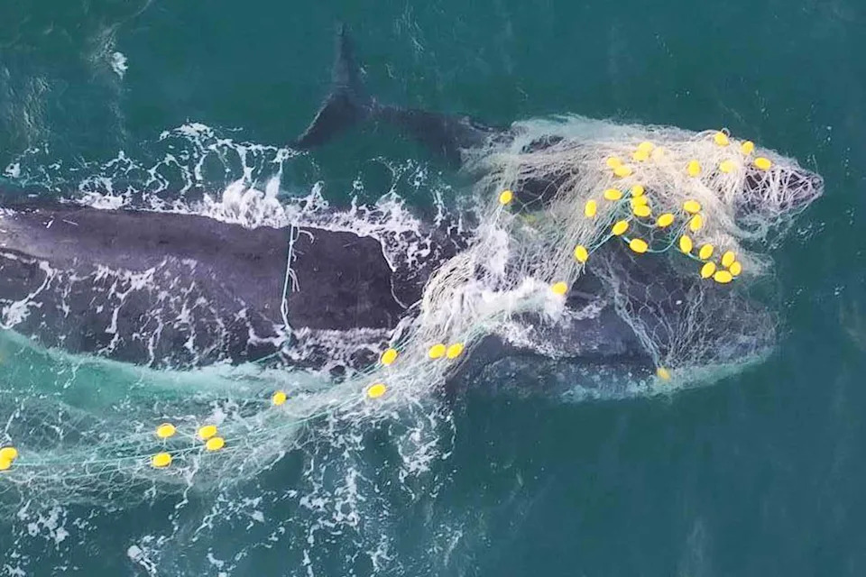 Source: Instagram/GeoffAquino