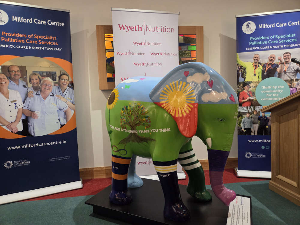 Watch: Milford Care Centre receives Elephant in the Room to promote mental health awareness