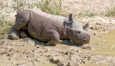 Yahoo lifestyle home