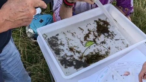 Asker D Jones / Riverfly Volunteers stand around a white camping table studying a white tray containing water and bits of vegetation, soil and insects from the river. A circular identification chart lays alongside the tray. Just the legs and hands of the people can be seen in the image as they point to items in the tray and on the chart.