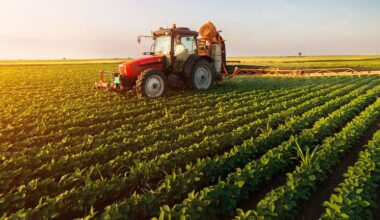 The Trend Of High Returns At Kencana Agri (SGX:BNE) Has Us Very Interested