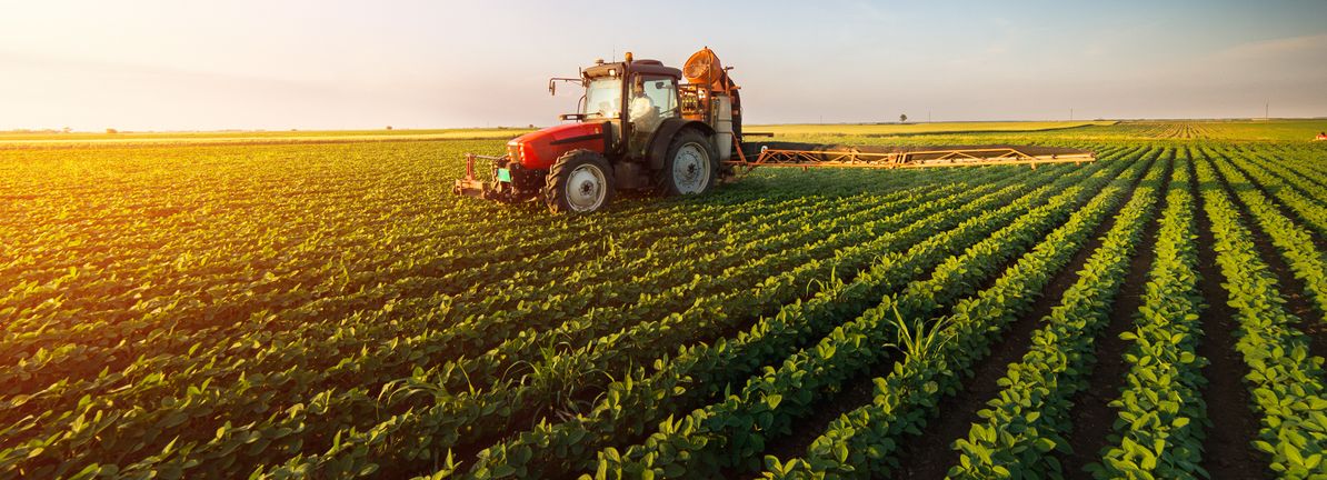 The Trend Of High Returns At Kencana Agri (SGX:BNE) Has Us Very Interested