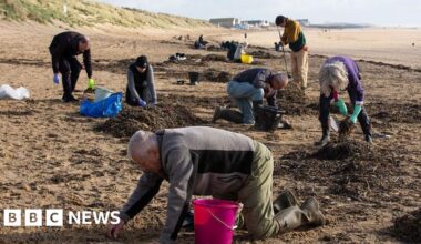 Southern Water sorry after pellets pollute Camber Sands beach