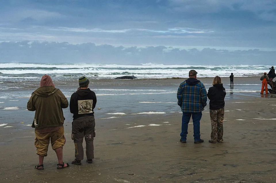 Jacob Colvin Oregon residents surrounding the beached humpback whale