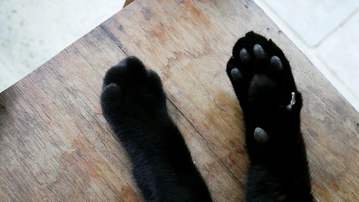 Yahoo lifestyle home