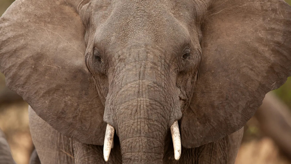 Yahoo lifestyle home