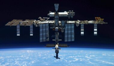 Moss Spores Survived 9 Months in Outer Space. Can They Help Save Us All?