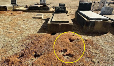 Residents heartbroken as photo reveals extent of $200 million Aussie problem: 'Horrified'