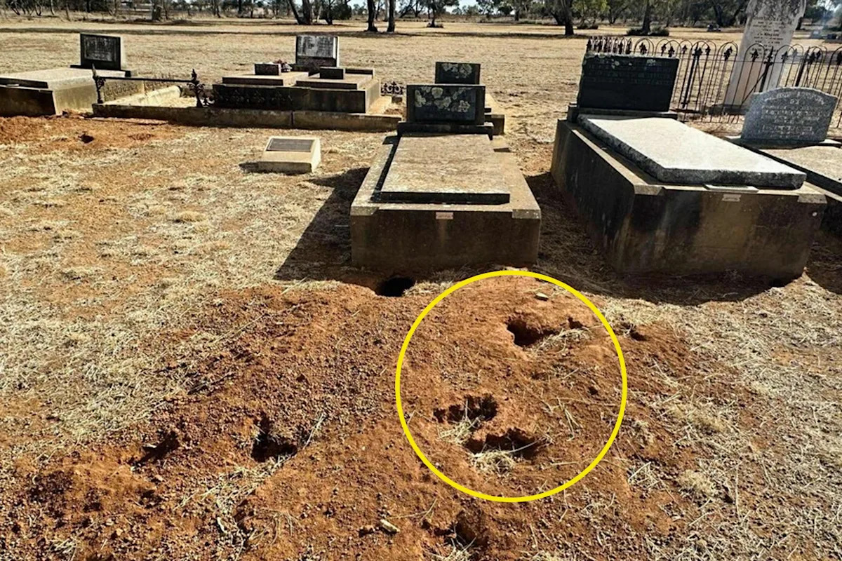 Residents heartbroken as photo reveals extent of $200 million Aussie problem: 'Horrified'