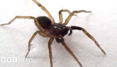 Five stories from the South you may have missed