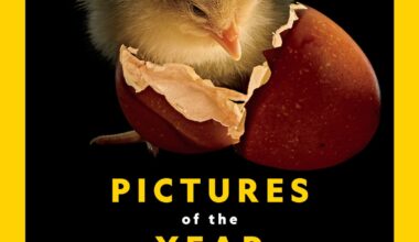 See National Geographic 'Pictures of the Year' 2025