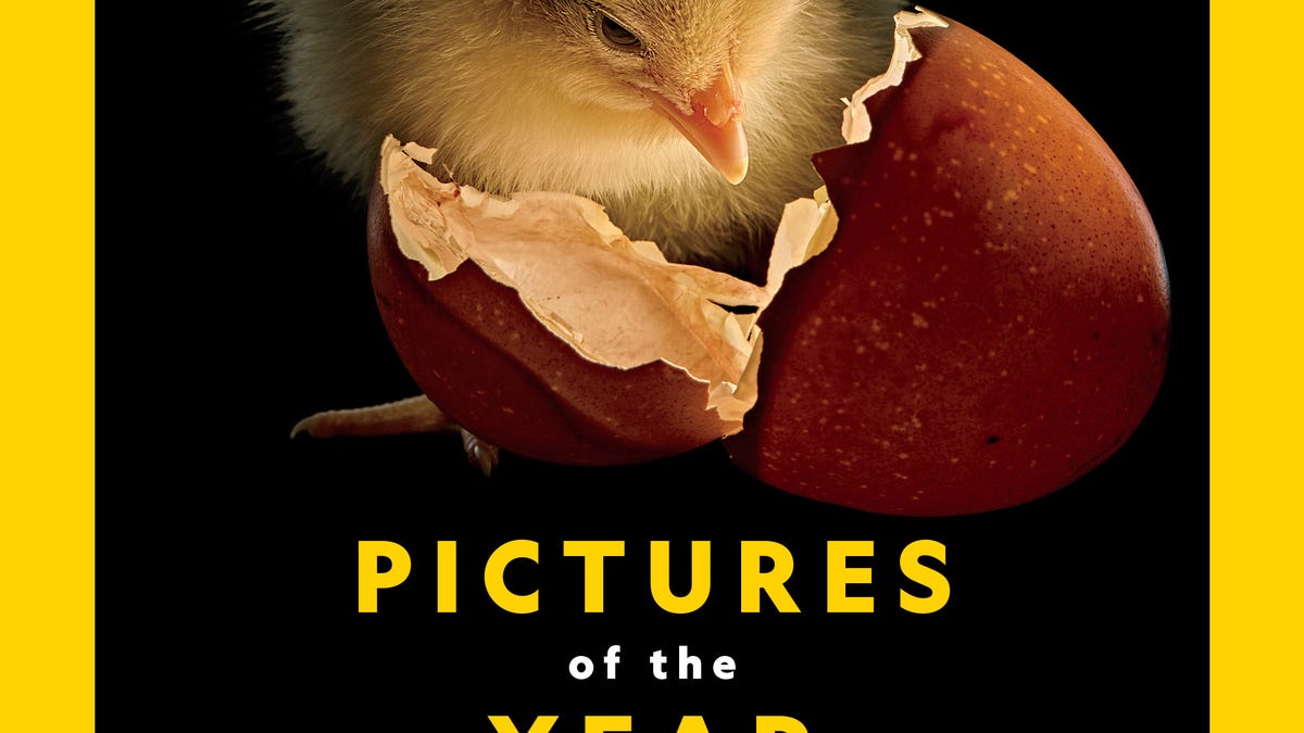 See National Geographic 'Pictures of the Year' 2025