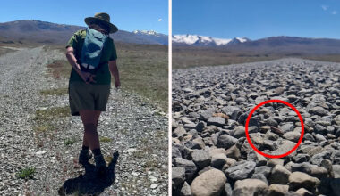 Rumours of 'mutant' animal proven real by release of incredible new video: 'Exceptionally rare'