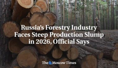 Russia’s Forestry Industry Faces Steep Production Slump in 2026, Official Says
