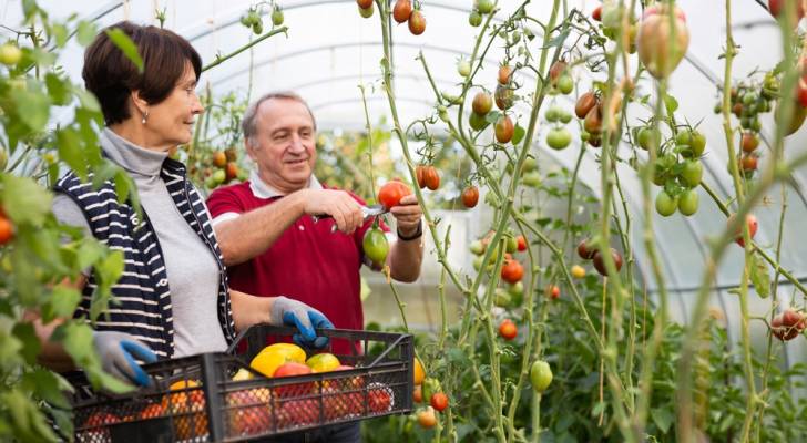 Older Americans should plan to retire with a 6-figure HSA, expert says. But few realize this account's 'full potential'