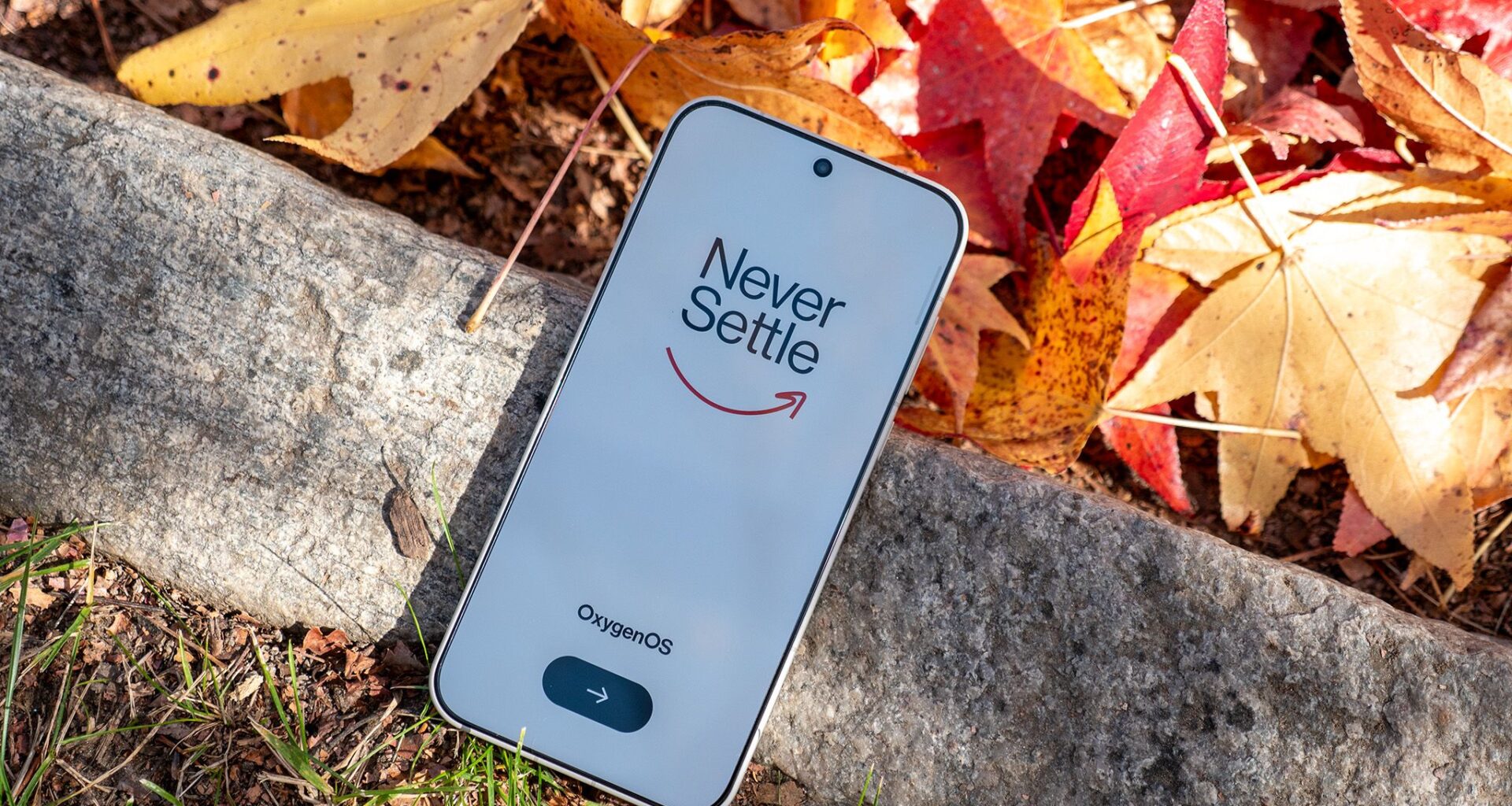 Should you buy the OnePlus 15?