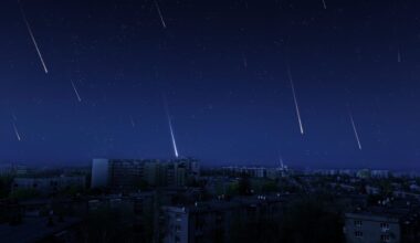 A Meteor Shower Will Light The Skies This November, And Here’s The Exact Date