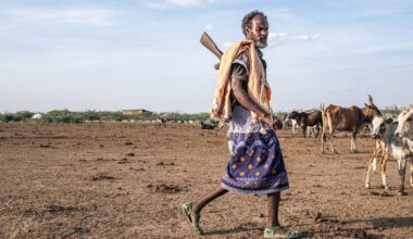 Non-native tree devastates Ethiopia’s ecosystems and threatens livelihoods | Gallery News
