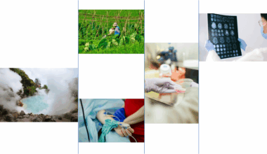 How researchers are using Google’s biology AI system AlphaFold