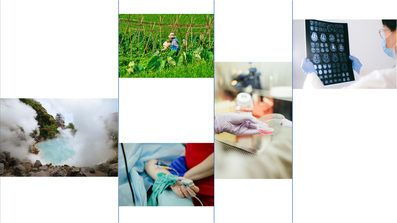 How researchers are using Google’s biology AI system AlphaFold