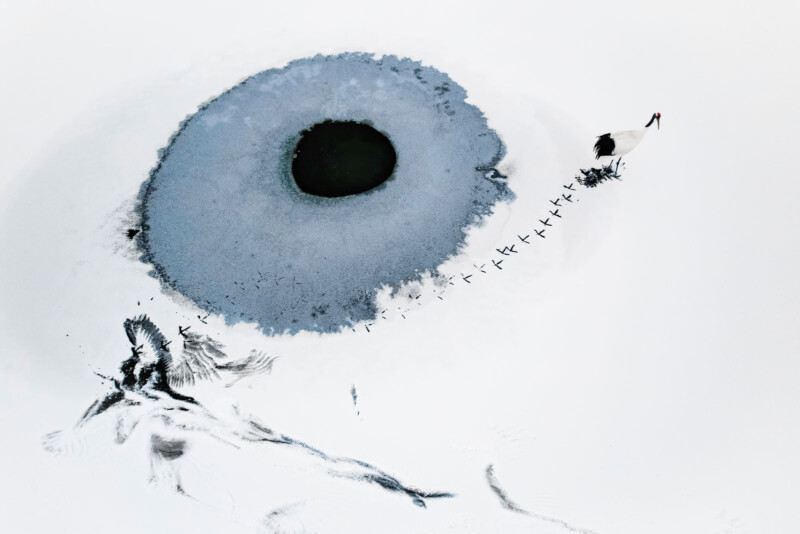 Aerial view of a stork walking on snow toward a circular ice hole in a frozen lake. The stork's footprints and feather marks create a path and a pattern on the snow, leading from the bottom left to the top right of the image.