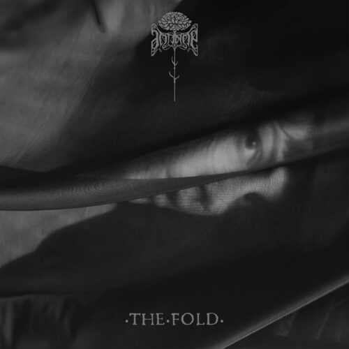 Antinoë - The Fold Review