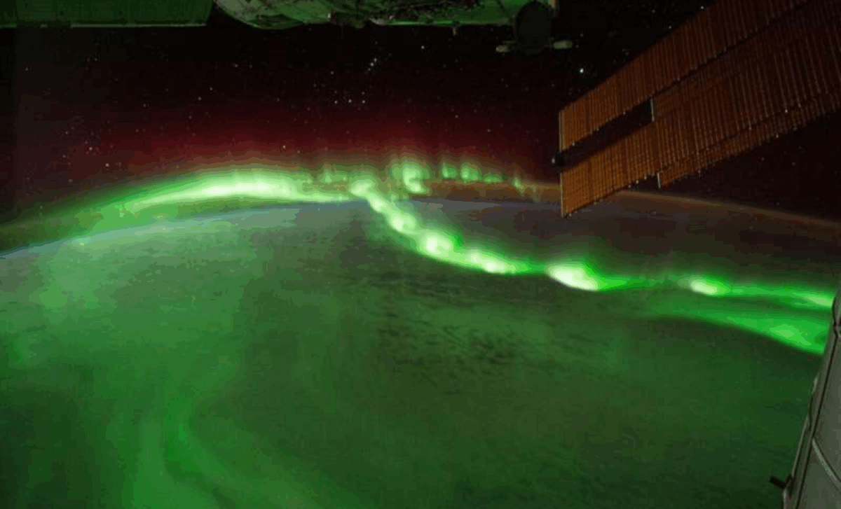 Auroras