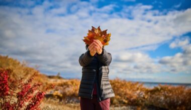 With nearly $3.3-million in savings, what’s the most tax-efficient way for Tammy to draw down her RRSP?