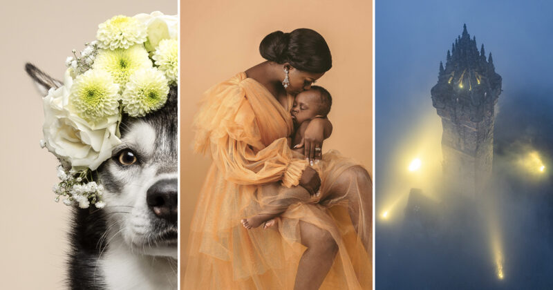 A collage with three images: a husky wearing a flower crown, a woman in an orange dress holding a baby against a peach background, and a tall, foggy tower illuminated by lights at night.