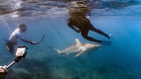Months after deadly attack, environmentalists urge shark gathering site off Hadera to