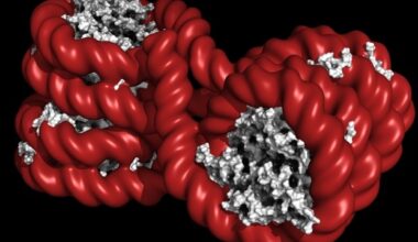 Discovery of sequence-driven DNA methylation offers new path for epigenetic engineering