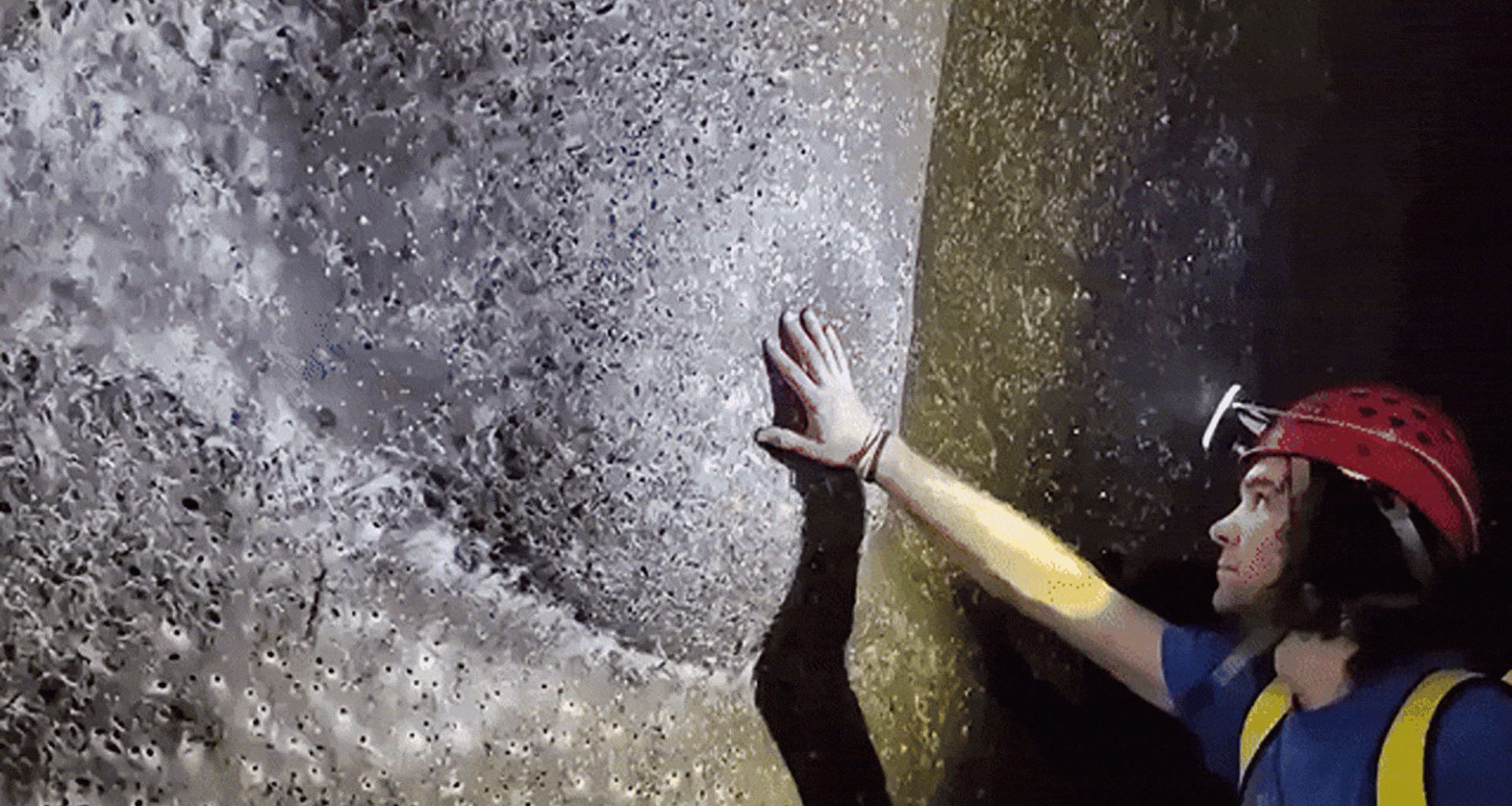 Cave On Europe’s Border Hides 111,000 Spiders In The World’s Largest Known Web Structure