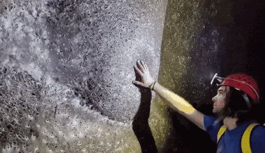 Cave On Europe’s Border Hides 111,000 Spiders In The World’s Largest Known Web Structure