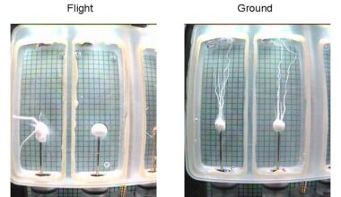 Image of a chemical garden experiment showing the growth pattern of the salts. Credit - NASA