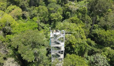 Climbing high to measure greenhouse gas flux