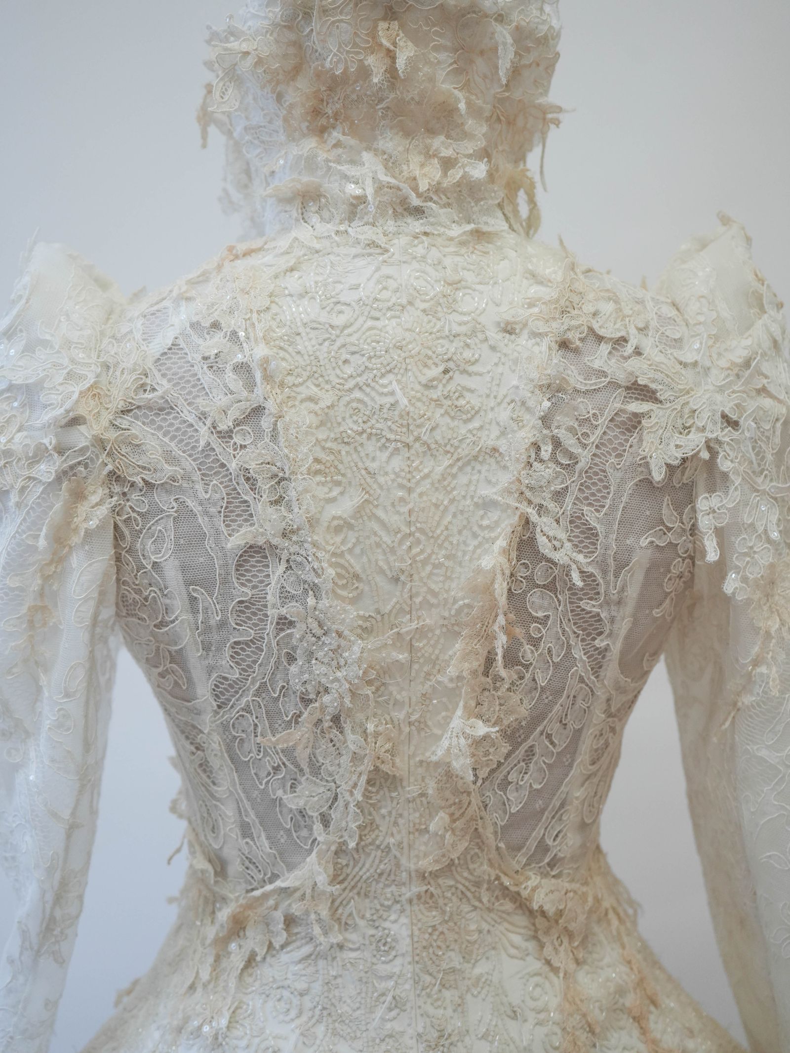 Image may contain Clothing Dress Fashion Formal Wear Gown Wedding Wedding Gown Bridal Veil Person and Lace