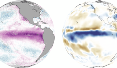 World of Change: El Niño, La Niña, and Rainfall